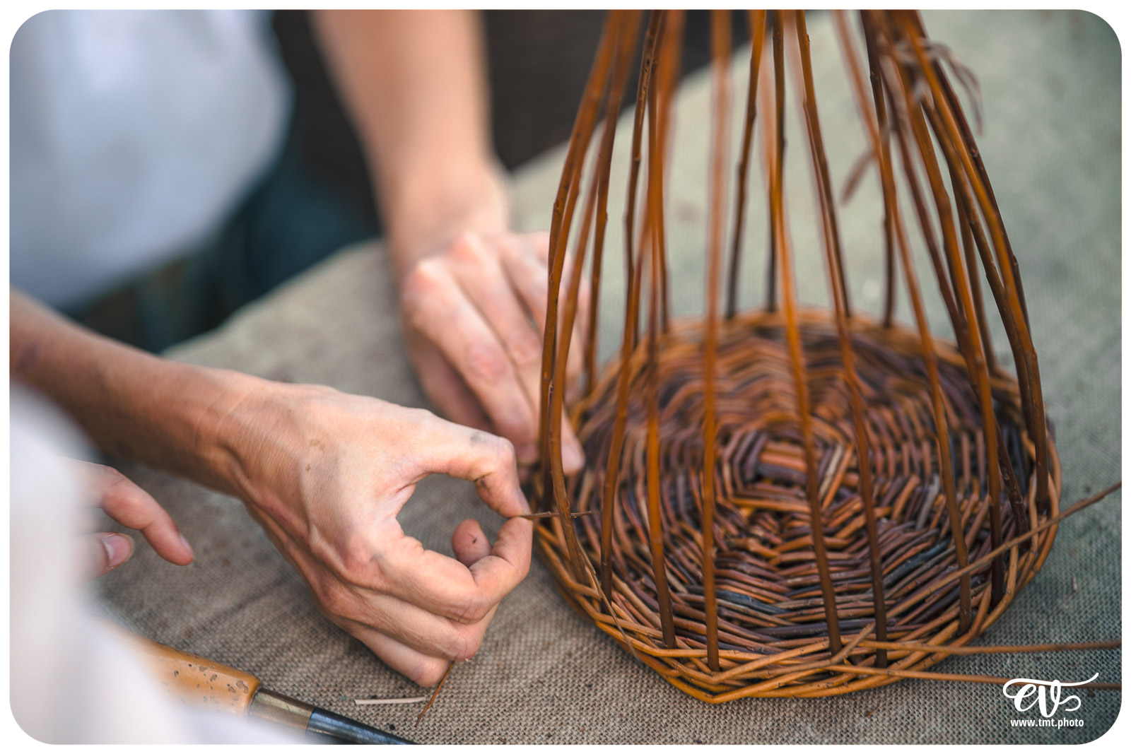 EX NIHILO : LE JARDIN DES DELICES